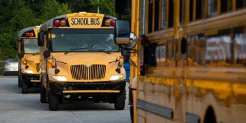 Picture Credit: KOMO News