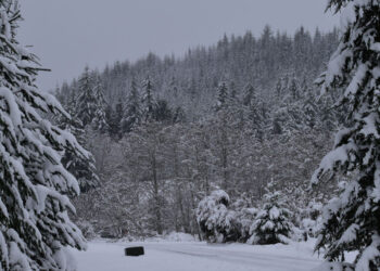 Picture Credit: KIMA