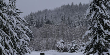 Picture Credit: KIMA