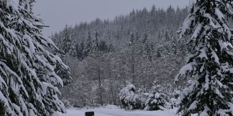 Picture Credit: KIMA