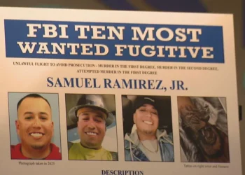 Picture Credit: KOMO News