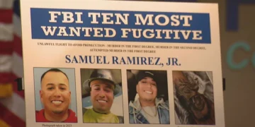 Picture Credit: KOMO News