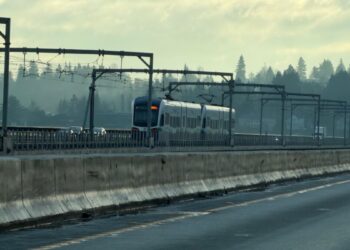 Picture Credit: Seattle Red