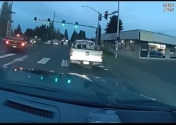 Picture Credit: KOMO News