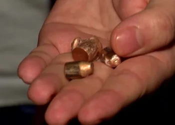 Picture Credit: KOMO News