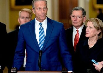 Picture Credit: x.com