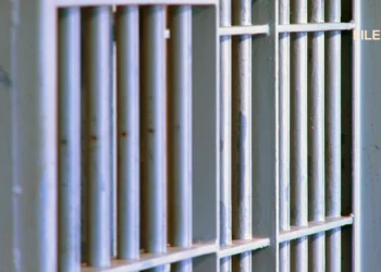 Picture Credit: KOMO News