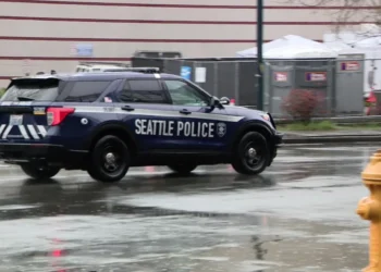 Picture Credit: Fox 13 Seattle