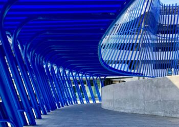 Picture Credit: Chris King