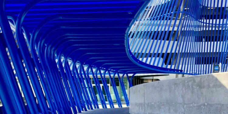 Picture Credit: Chris King