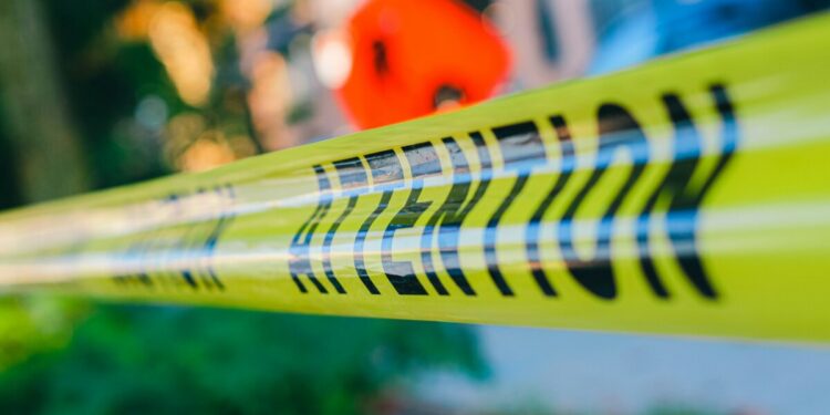 Picture Credit: Compagnons