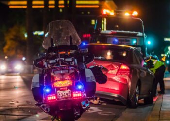 Picture Credit: Matt C