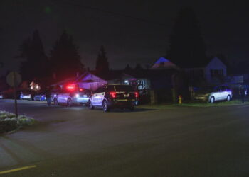 Picture Credit: KOMO News