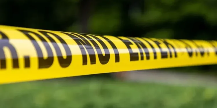 Picture Credit: News Channel 9