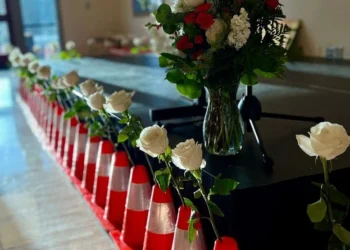 Picture Credit: KOMO News