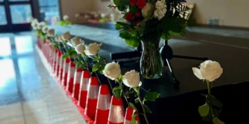 Picture Credit: KOMO News