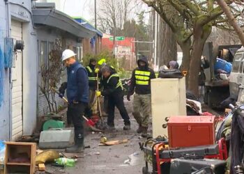 Picture Credit: KOMO News