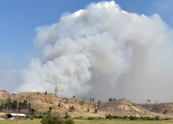 Picture Credit: KOMO News