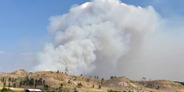 Picture Credit: KOMO News