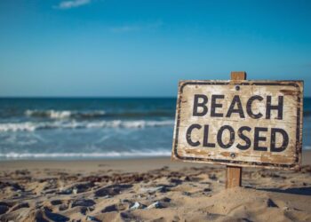 Three Seattle-Area Beaches Closed After Bacteria Levels Reach Up to 44 Times Safe Limit