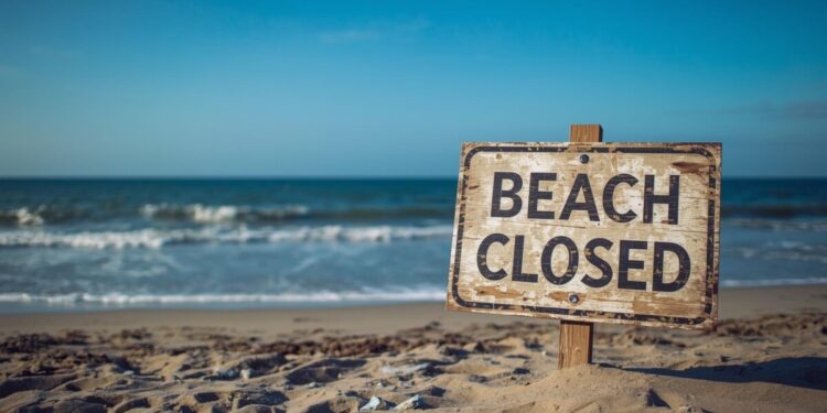 Three Seattle-Area Beaches Closed After Bacteria Levels Reach Up to 44 Times Safe Limit