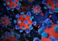 What Is Hantavirus and What Are the Symptoms? What Seattle-Area Residents Need to Know