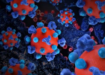 What Is Hantavirus and What Are the Symptoms? What Seattle-Area Residents Need to Know
