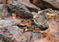 US Company Signs Deal to Source Congolese Cobalt for America’s First Large-Scale Processing Facility