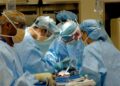 Seattle Children’s Doctors Discover Upside-Down Heart Valve After Girl Was Told She Needed a Heart Transplant