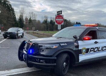 Man Shot by Police in Puyallup After Charging Officers With Metal Baton During Domestic Violence Call